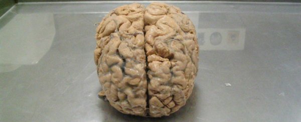 Regular humans have been taught to double their memory capacity in 40 days
