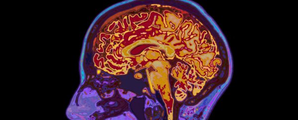 Scientists have identified the Chemical That Suppresses Unwanted Thoughts in the Brain