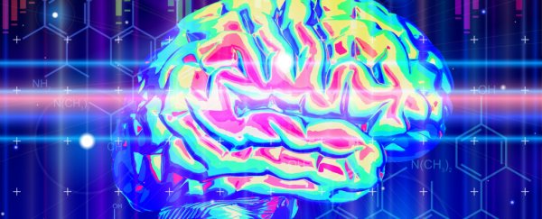 Resting brainwaves function in specific harmonic patterns, study suggests