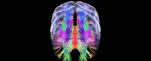 Two existing drugs may stop brain degeneration in Alzheimer’s mice