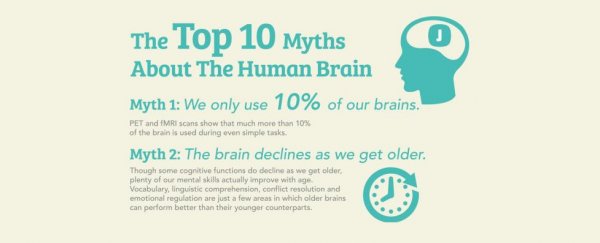 These are the top 10 myths about the human brain