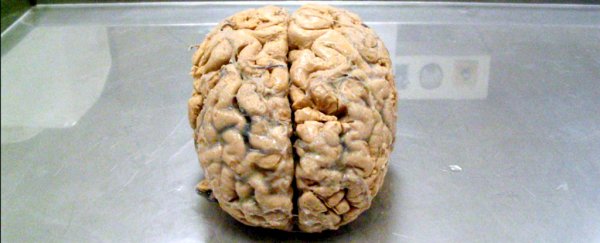 Meet the man who lives normally with damage to 90% of his brain