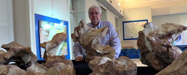 Brazil’s biggest dinosaur has been rediscovered - after spending 60 years in a cupboard