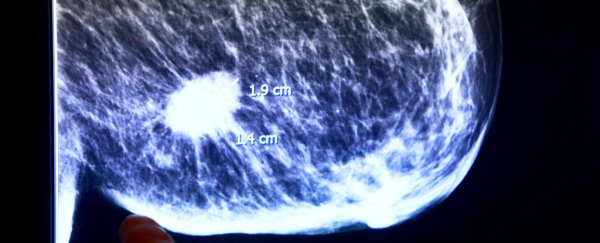 Combination of drugs "dramatically" shrinks breast cancer in just 11 days