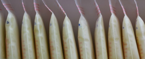 A protein found in human breast milk could help kill drug-resistant bacteria
