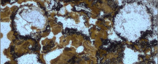 Earliest signs of life on land have been found in 3.48 billion-year-old Australian rocks
