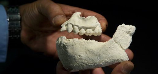 A new human ancestor has been discovered in Ethiopia