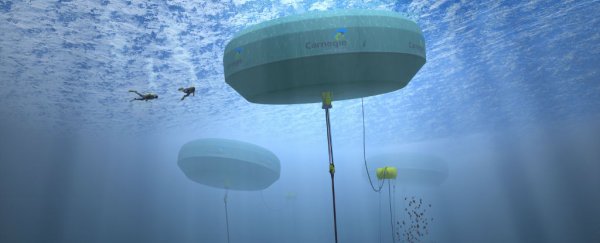 World’s first grid-connected wave power station switched on in Australia