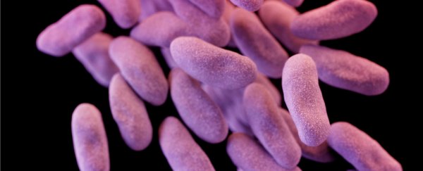 Drug-resistant "nightmare bacteria" are quickly spreading through US hospitals
