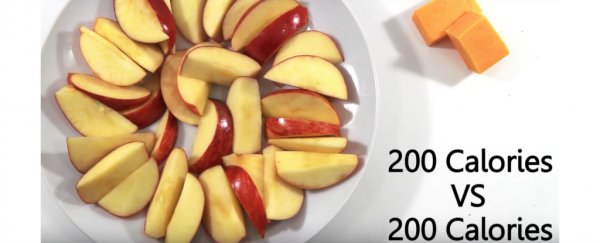 Why the calorie is broken