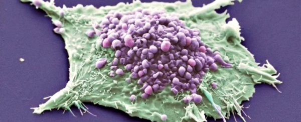 Scientists have performed the first trials of a 'universal cancer vaccine'