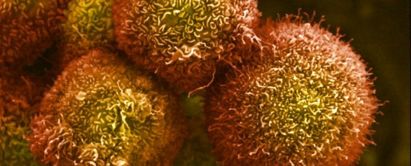 Microsoft says it will 'solve' cancer in the next 10 years