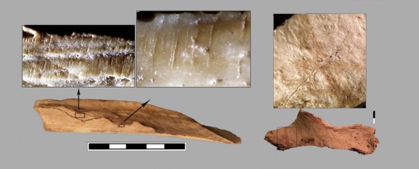 Archaeologists have found evidence of cannibalism in Spain 10,000 years ago