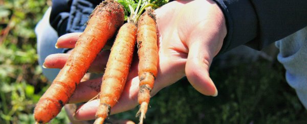 Why it's impossible to actually be a vegetarian
