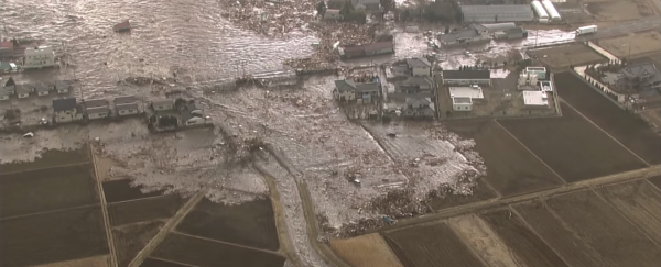 Watch: How the Japan tsunami changed science