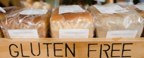Evidence emerges that celiac disease could be triggered by a seemingly harmless virus