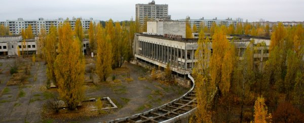 Chernobyl could soon find a second life as a giant solar farm