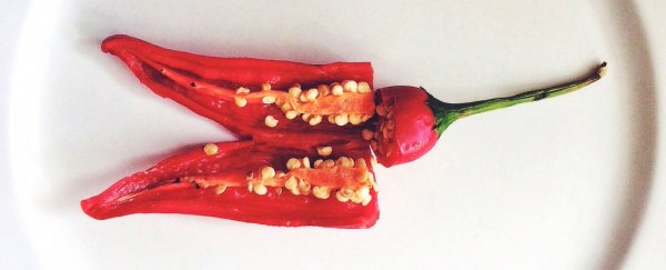 The compound that makes chillies spicy could help kill cancer cells
