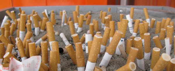This company recycles cigarette butts and turns them into plastic