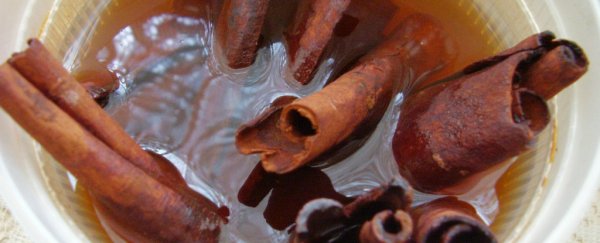 Early research suggests eating cinnamon might make you learn more