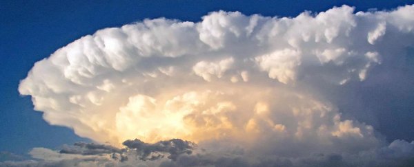 Physicists just made their own clouds using a chemical grown in trees