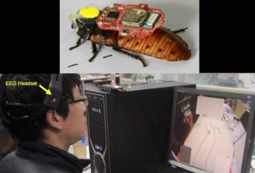Researchers have worked out how to mind control cockroaches
