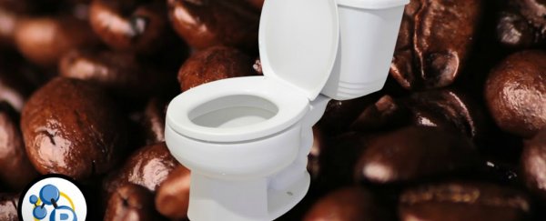 Here's why you need to poop after your morning cup of coffee