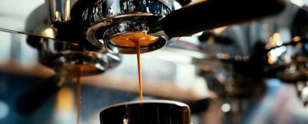 By 2050, most of world's best coffee growing areas won't be viable any more
