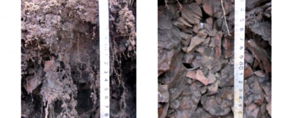 A weird patch of "cold Earth" in China stays frozen through blazing summers