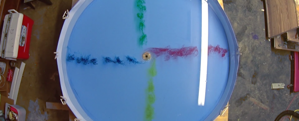 WATCH: The truth about toilet swirls