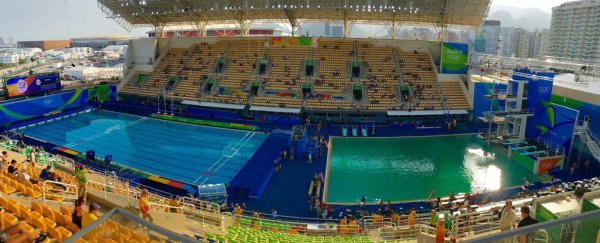 The Olympics diving pool turned green overnight and officials can't explain why