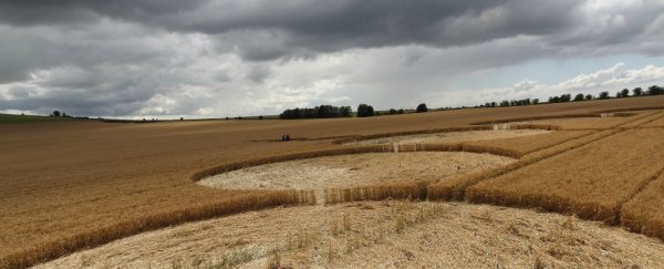 Huge analysis determines genetically engineered crops are safe
