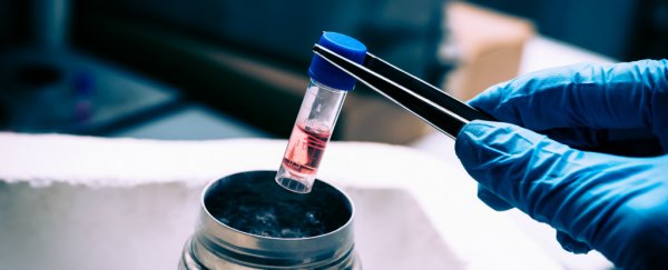 Scientists have found a way to rapidly thaw cryopreserved tissue without damage