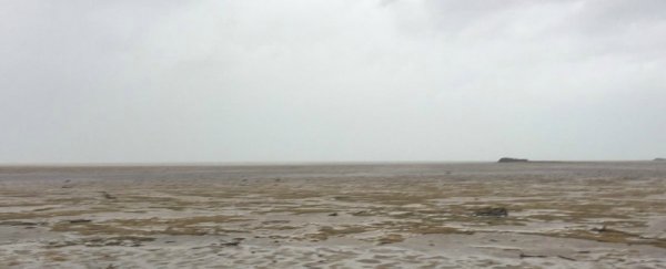 Hurricane Irma has been literally pulling the ocean away from its shores