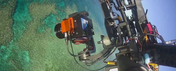 Here's how scientists are mapping the decline of the Great Barrier Reef with AI