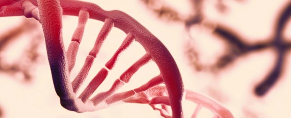 Physicists confirm there's a second layer of information hidden in our DNA