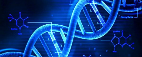 Scientists claim they've completed the first successful gene therapy against human ageing