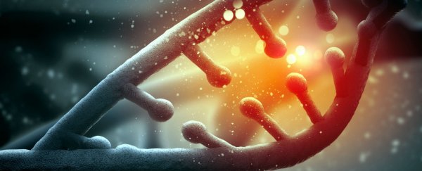 Gene therapy using HIV-derived vector has cured rare condition