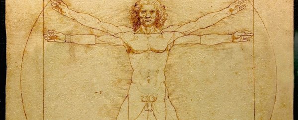The human body has gone through four main stages of evolution, fossils reveal