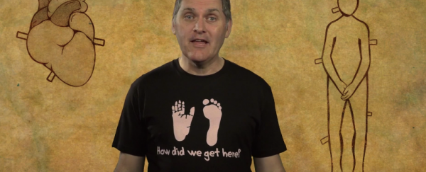 WATCH: Why have humans evolved such large penises?