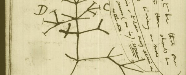 Over 16,000 pages of Darwin's research on evolution released online