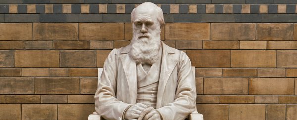 From next month, Turkey will stop teaching evolution in the school curriculum