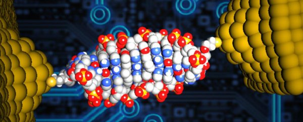 Scientists just made the world's smallest diode out of DNA