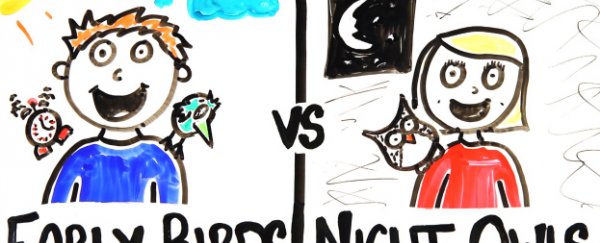 WATCH: Early birds vs night owls