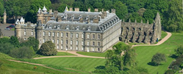 2 trees that were 'extinct' for half a century have been discovered in the Queen's garden