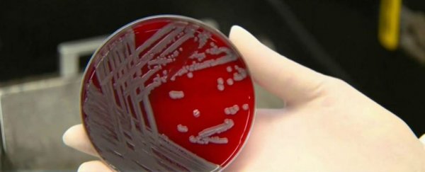 A mysterious disease is killing people in Wisconsin
