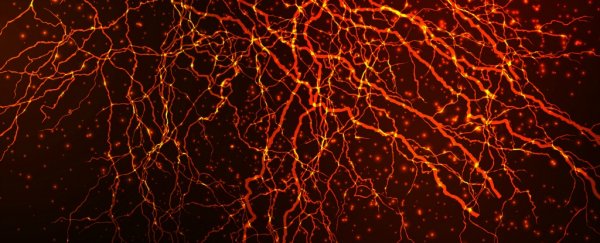 Physicists make the case that our brains' learning is controlled by entropy