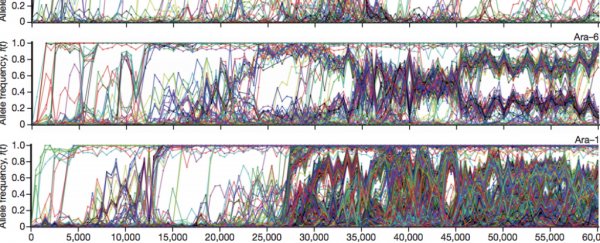 One of the biggest evolution experiments ever has followed 68,000 generations of bacteria