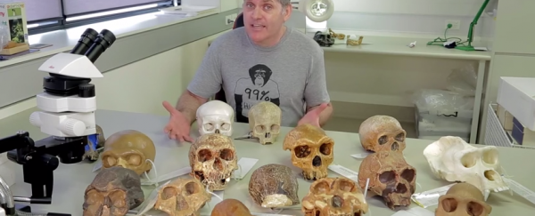 WATCH: Do human races really exist?