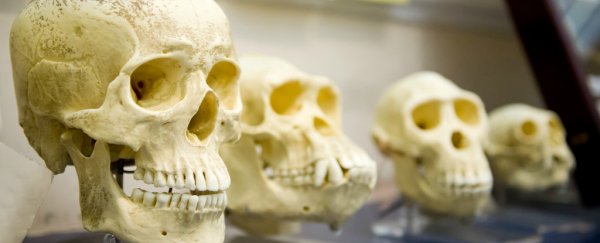 The world's top biologists have met to discuss whether we should update evolution